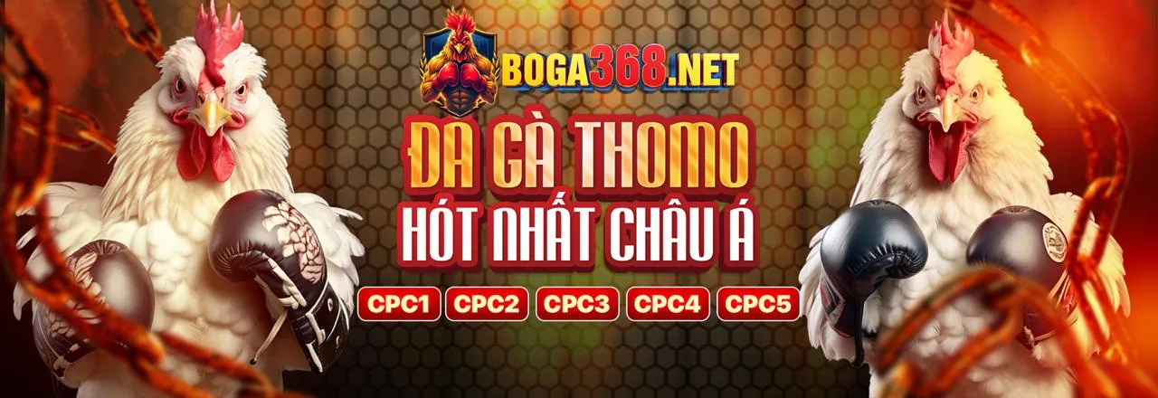 Đội ngũ kỹ thuật triển khai JDB Code