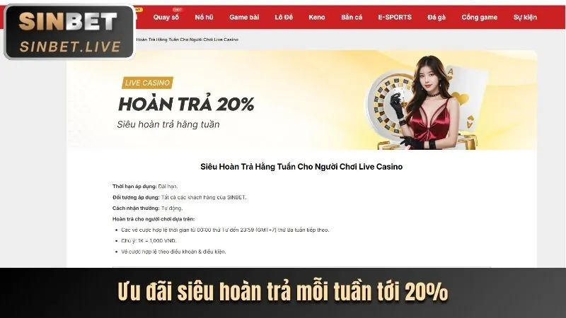 Thưởng Nạp Tiền Hàng Ngày/Tuần JDB Code
